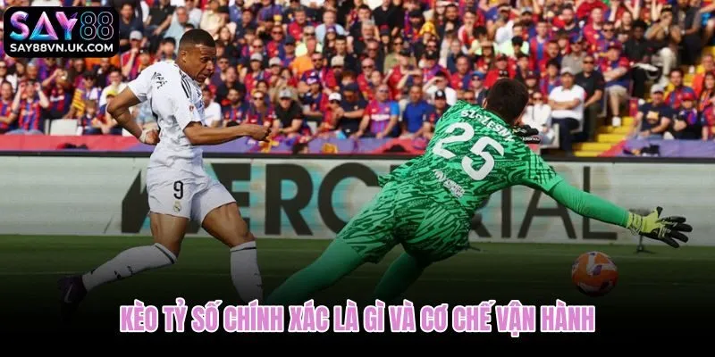 Cơ chế kèo tỷ số chính xác từ xác suất đến mức trả thưởng