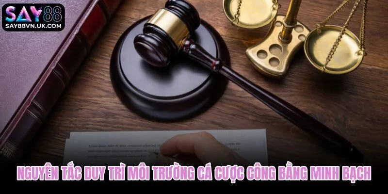 Điều khoản điều kiện về cơ chế công bằng và minh bạch khi cá cược